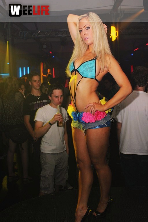 Spring Breaker