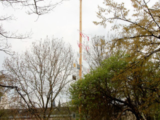 Foto 163912 im Album