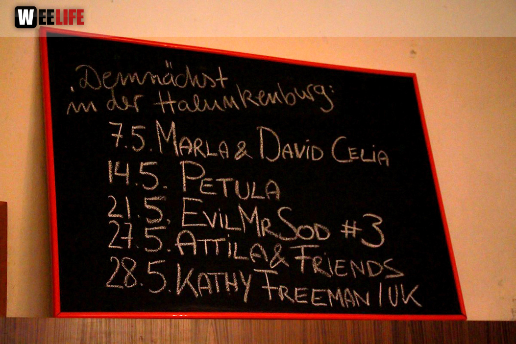 Benefizkonzert Marla und David Celia