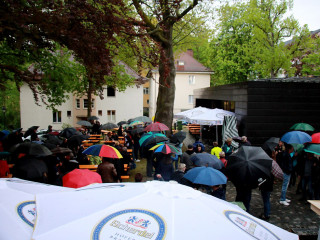 Foto 164637 im Album
