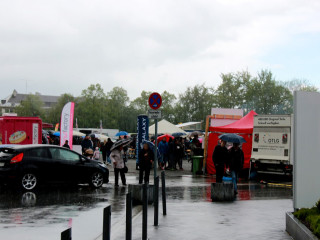 Foto 165015 im Album