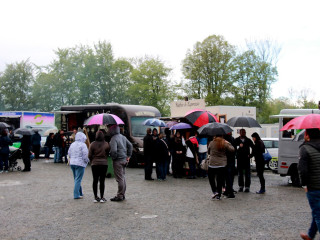 Foto 165025 im Album
