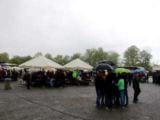 Foto 165053 im Album