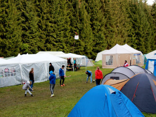 Foto 165078 im Album