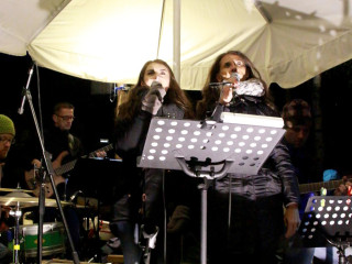 Foto 165302 im Album