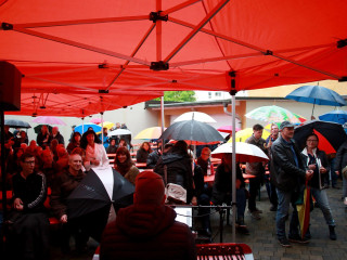 Foto 165361 im Album