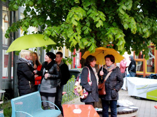 Foto 165380 im Album