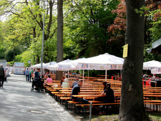 Foto 165579 im Album
