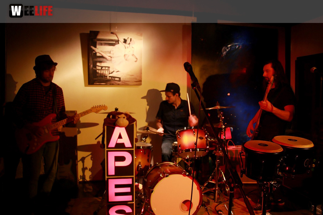 Benefizkonzert The Apes