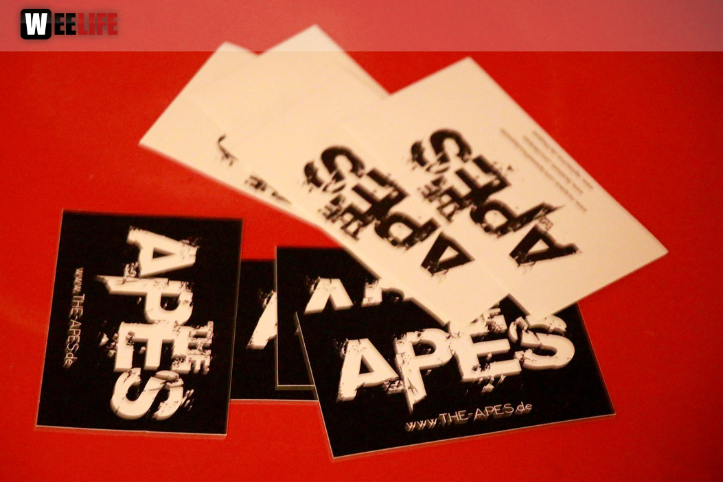 Benefizkonzert The Apes