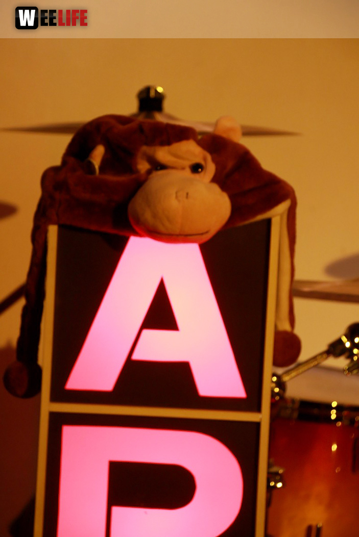Benefizkonzert The Apes