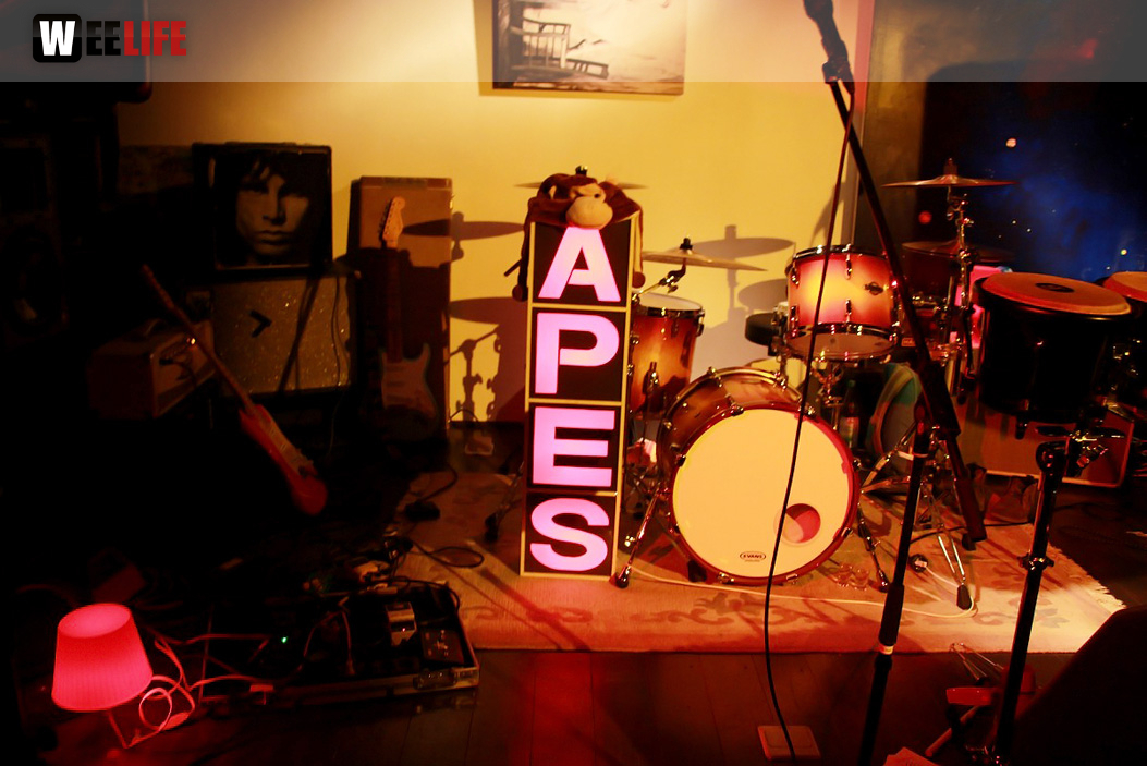 Benefizkonzert The Apes