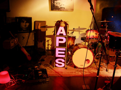 Benefizkonzert The Apes – Foto 6