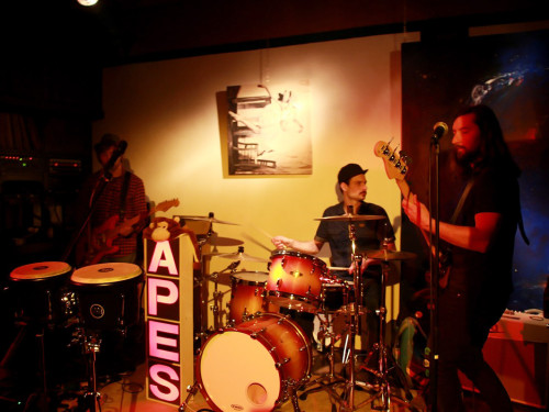 Benefizkonzert The Apes – Foto 8