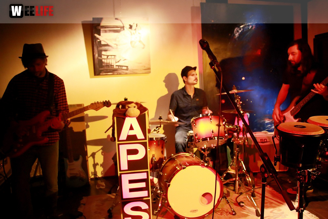 Benefizkonzert The Apes