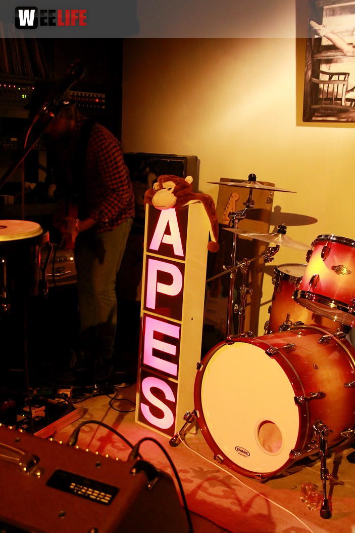 Benefizkonzert The Apes