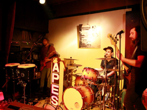 Benefizkonzert The Apes – Foto 17