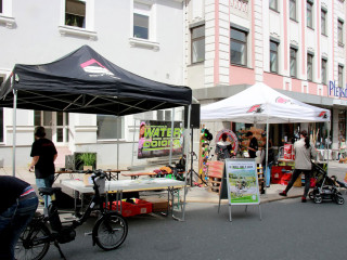 Foto 166241 im Album