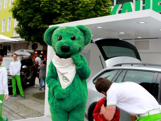 Vorschau des vorherigen Fotos