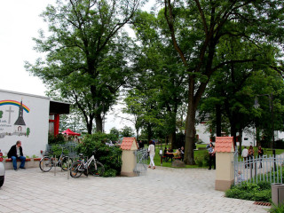 Foto 166451 im Album