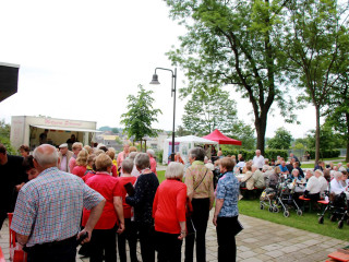 Foto 166456 im Album