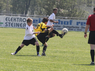 Foto 16652 im Album