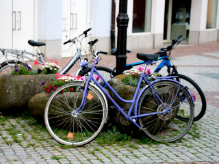 Foto 167341 im Album