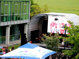 Foto 167909 im Album