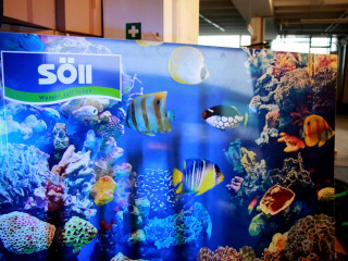Foto 167990 im Album