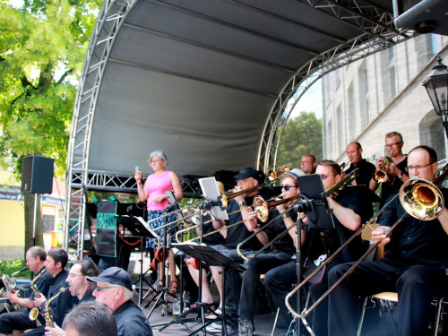 Straßenfest Hofer Falken Big-O-Band Starlets Land in Sicht La Confianza – Foto 19