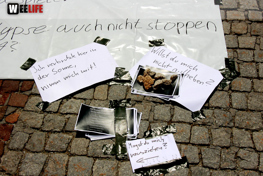 Straßenfest Hofer Falken Big-O-Band Starlets Land in Sicht La Confianza