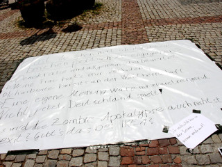 Vorschau des vorherigen Fotos