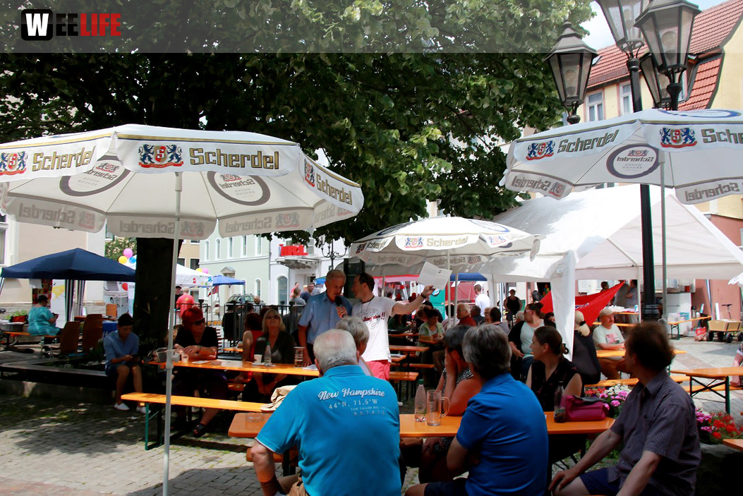 Straßenfest Hofer Falken Big-O-Band Starlets Land in Sicht La Confianza