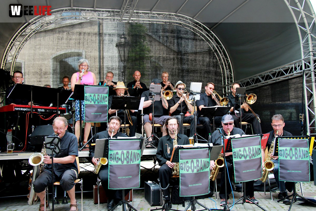 Straßenfest Hofer Falken Big-O-Band Starlets Land in Sicht La Confianza