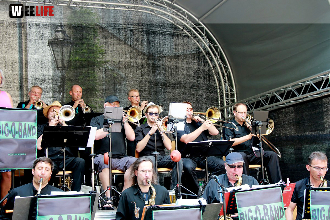 Straßenfest Hofer Falken Big-O-Band Starlets Land in Sicht La Confianza
