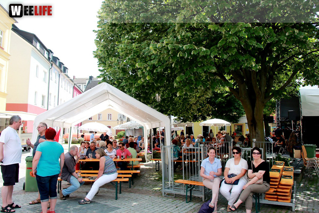 Straßenfest Hofer Falken Big-O-Band Starlets Land in Sicht La Confianza