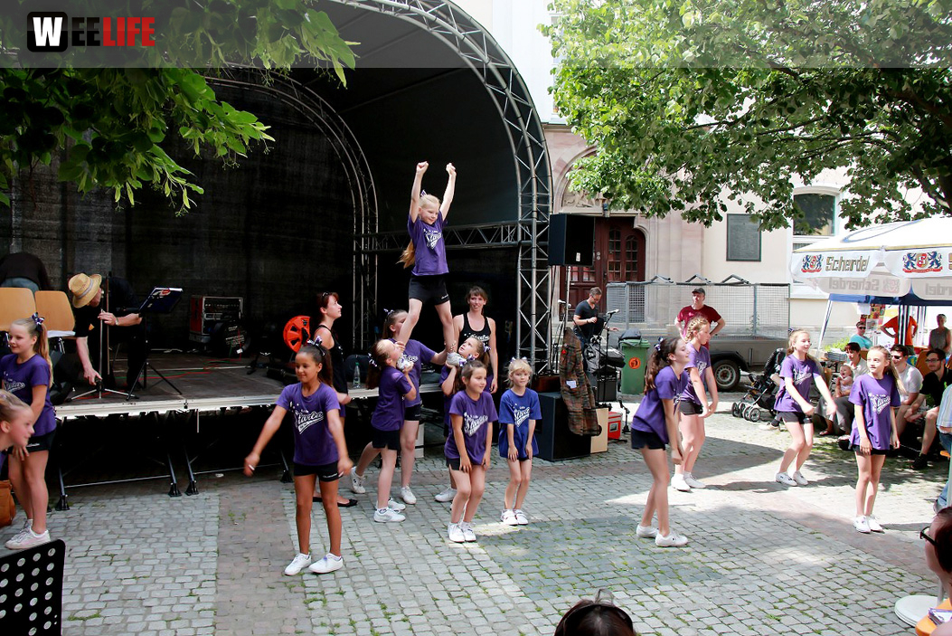 Straßenfest Hofer Falken Big-O-Band Starlets Land in Sicht La Confianza