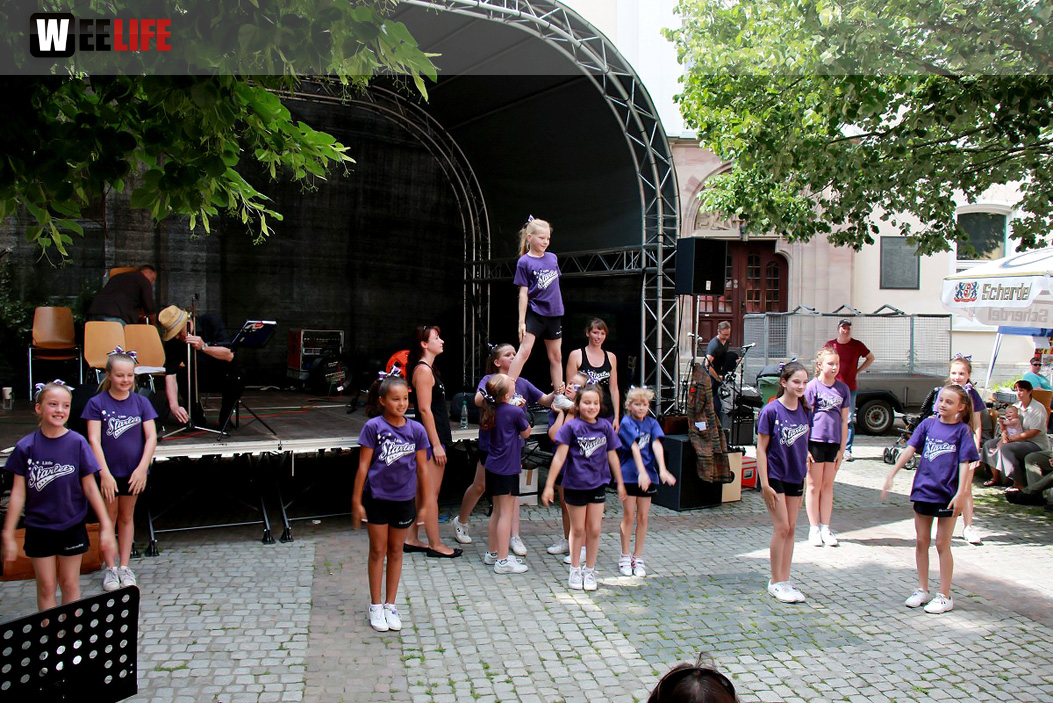 Straßenfest Hofer Falken Big-O-Band Starlets Land in Sicht La Confianza
