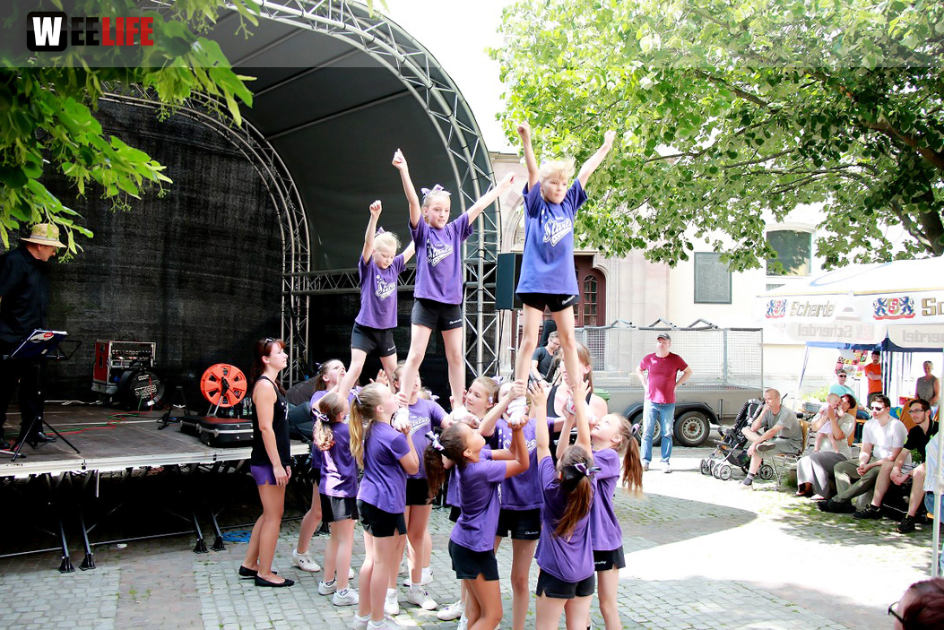 Straßenfest Hofer Falken Big-O-Band Starlets Land in Sicht La Confianza