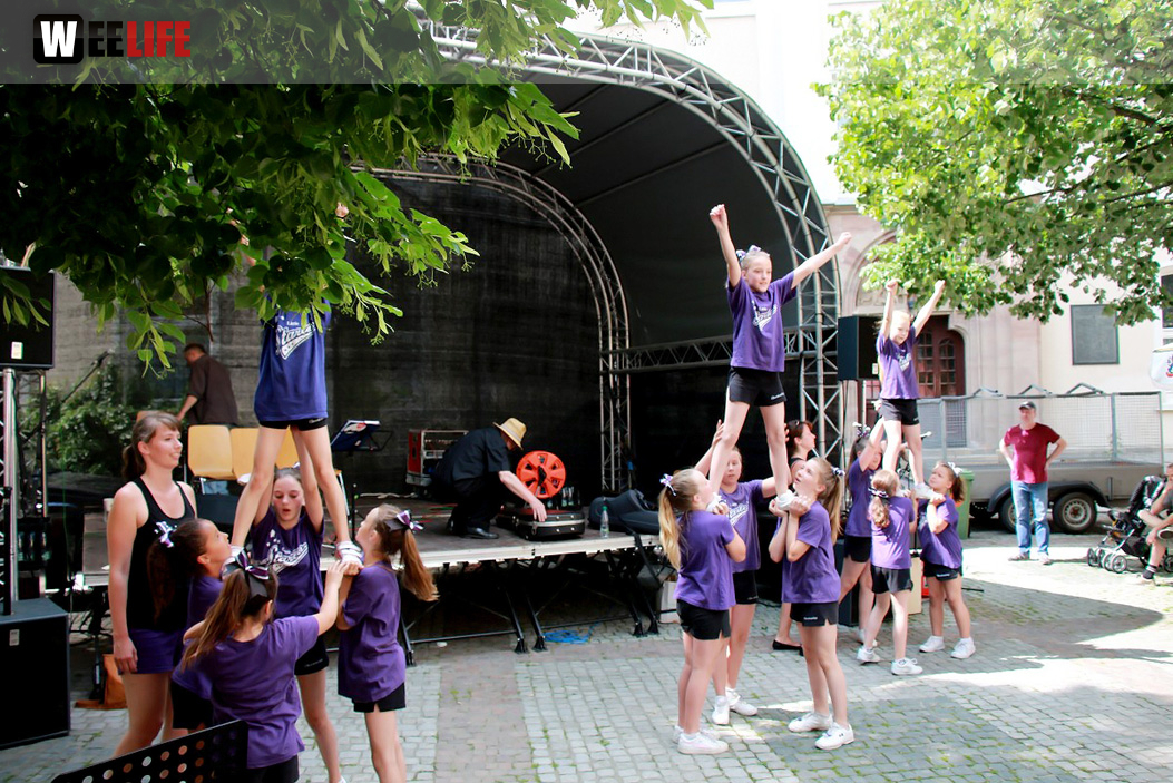 Straßenfest Hofer Falken Big-O-Band Starlets Land in Sicht La Confianza