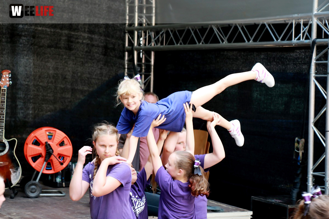 Straßenfest Hofer Falken Big-O-Band Starlets Land in Sicht La Confianza