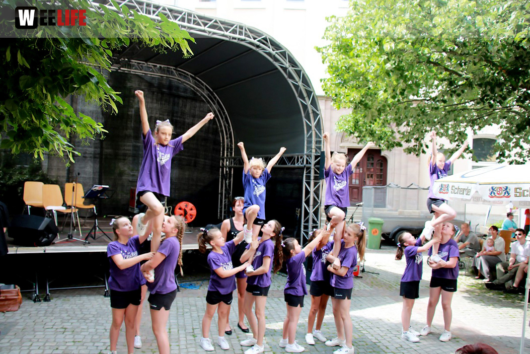 Straßenfest Hofer Falken Big-O-Band Starlets Land in Sicht La Confianza