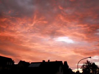 Foto 169322 im Album
