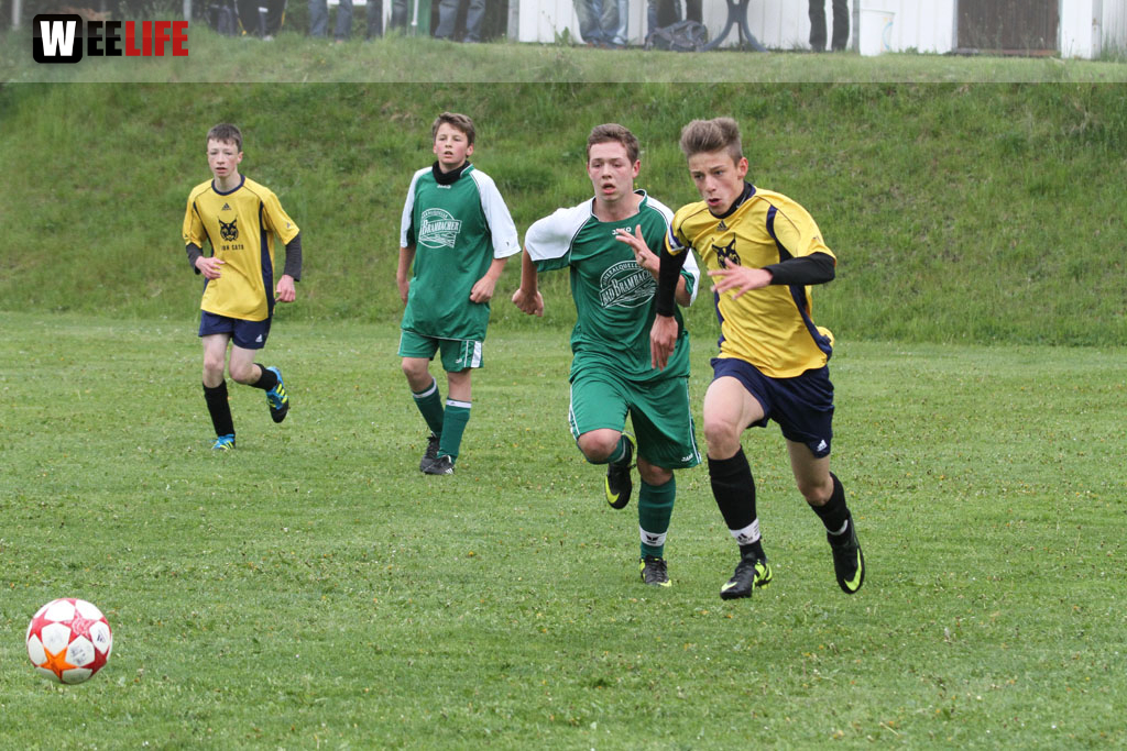 FC Selb - SpVgg Oberkotzau