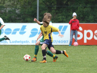 Foto 16942 im Album
