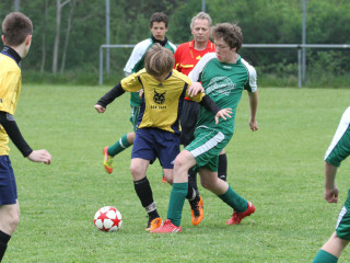 Foto 16952 im Album