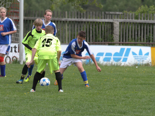 JFG Hochfranken Selb - SpVgg Bayern Hof II – Foto 8