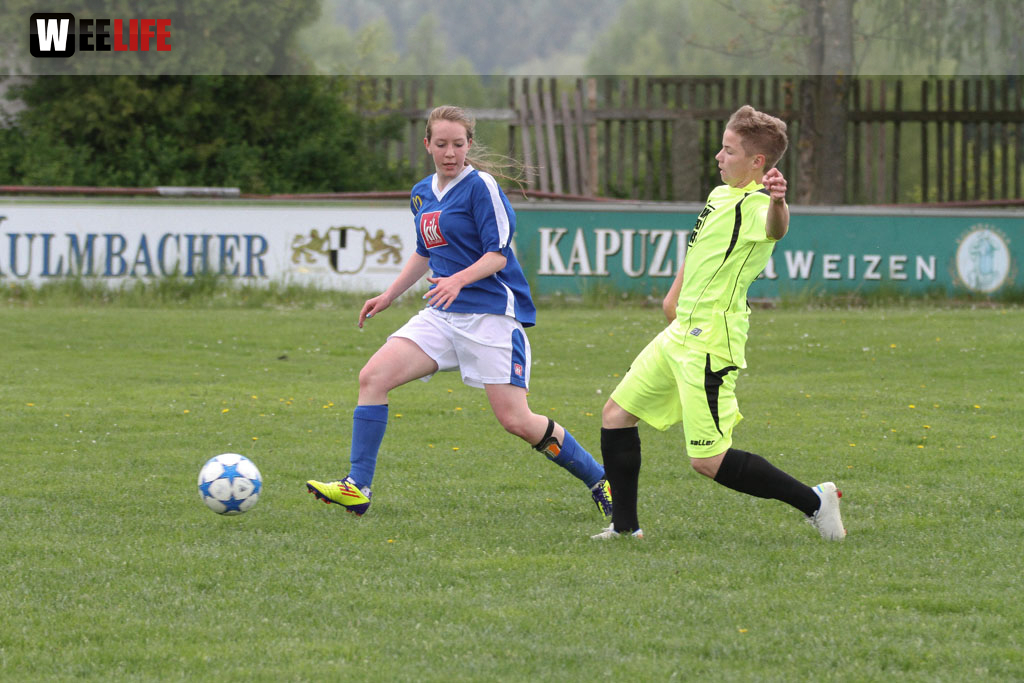 JFG Hochfranken Selb - SpVgg Bayern Hof II