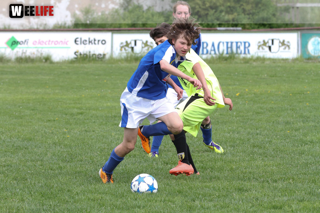 JFG Hochfranken Selb - SpVgg Bayern Hof II