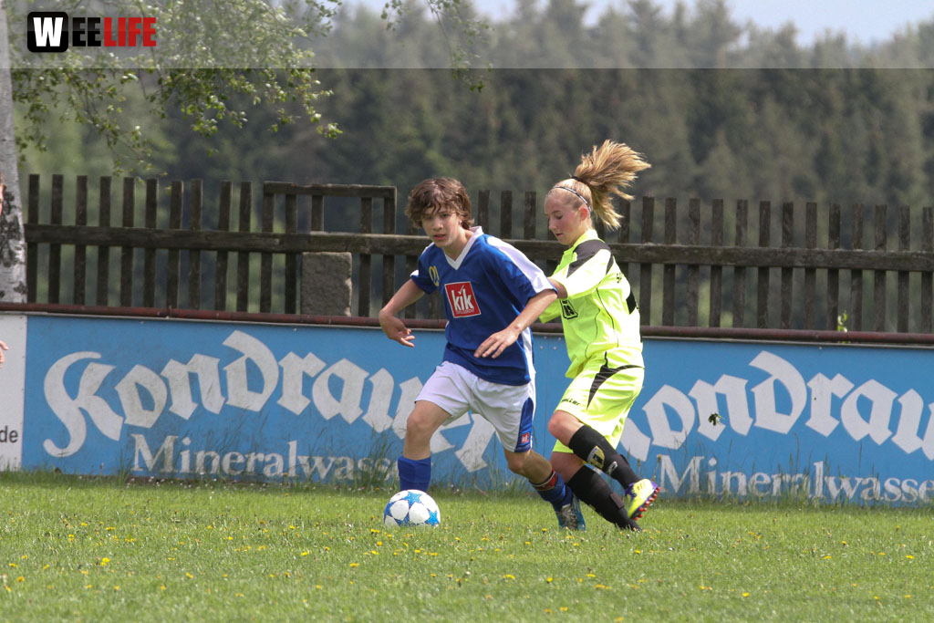 JFG Hochfranken Selb - SpVgg Bayern Hof II